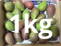 沖縄県産摘果マンゴー青マンゴー約1.3kgい 90〜115g - メルカリ
