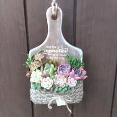 多肉植物 ♡そのまま飾れる寄せ植え♡
