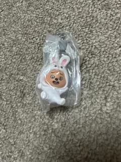 SKZOO ガチャ　つまんでつなげてマスコット ハン