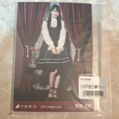 賀喜遥香　2023.Halloween ５種コンプ　生写真　乃木坂46