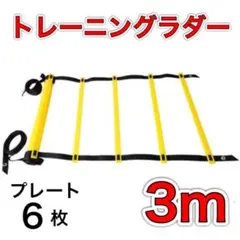 トレーニング ラダー 3m 6枚 サッカー 陸上 フィットネス 球技の練習