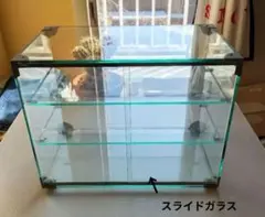 2026年最新】ガラスショーケース レトロの人気アイテム - メルカリ