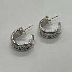 2026年最新】tiffany ピアス アトラスの人気アイテム - メルカリ