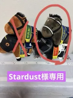 Stardust様専用