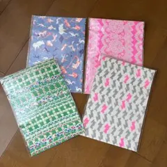 Item thumbnail for item 44d912d5-7301-48c6-88ef-4398fa5457cd