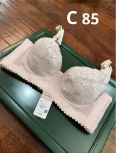 トリンプ　完売品　補正ブラジャー　C85 ピンクレース