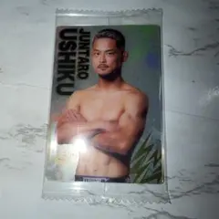 希少 朝倉未来 RIZIN 特別限定カード ライジン - メルカリ