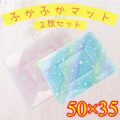 Item thumbnail for item 30be3c31-1989-42ec-b42c-452d426758ae