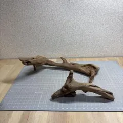 水槽用流木 2本セット　S187