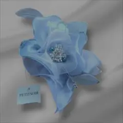 Item thumbnail for item 3c3f1945-875b-420b-8276-cd9efafdffe3