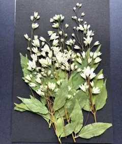 Item thumbnail for item 8826474b-50af-4ae8-8795-9db44e227c5d