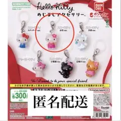 即購入可◎ハローキティ　めじるし　お花ver
