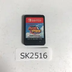 スイッチ　パワフルプロ野球2022 パワプロ　SK2516