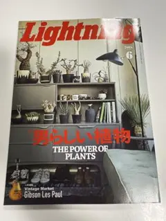男らしい植物　ライトニング lightning 雑誌