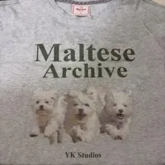 WAIKEI ワイケイ Tシャツのサムネイル