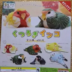 くつろぎインコ　全6種　ガチャ　フィギュア　ことりの休日　インコ　鳥