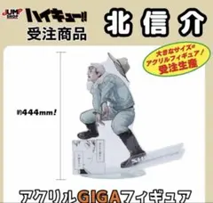 2026年最新】ハイキュー アクリルmegaフィギュア 北信介の人気アイテム