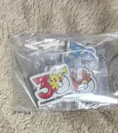 餃*子様 ポケモン 30周年 メタルチャームマスコット ピカチュウ ヒトカゲ ゼ