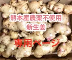 南国の山ちゃん様専用ページ