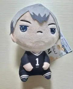 ハイキュー!! ちょぴぬいぷち⑧ 北信介 - メルカリ