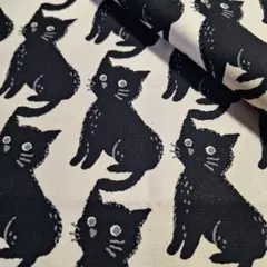 Item thumbnail for item d62cb501-a91c-481d-abfe-6c54ab864647