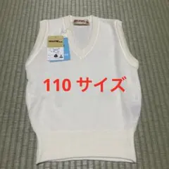 Item thumbnail for item 8927c0ae-f55d-4550-a54a-23f8109143e1