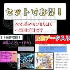 ポケットモンスター ホワイト2 ブラック2