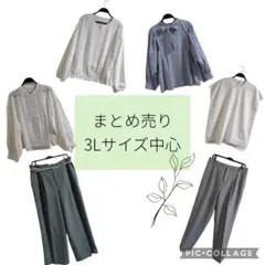 まとめ売り　3Lサイズ中心