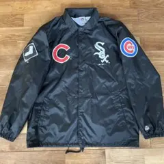 Item thumbnail for item 775d467c-1e61-4223-a436-2fbc41a0592a