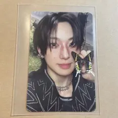 &TEAM Back to Life FUMA トレカ フォトカード