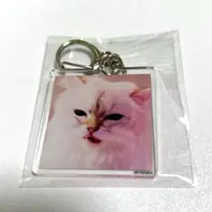 アクキーのみ【新品未開封】My Hair is Bad 「cats」　特典