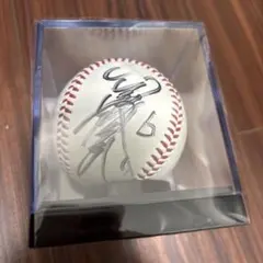 2025年最新】阪神タイガース 金本直筆サインの人気アイテム