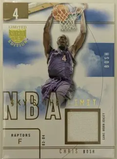 Chris Bosh Sky the Limit Jersey /10
