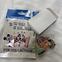 東京ディズニーリゾート　ピンバッジ　ピンコレクション　ミニー
