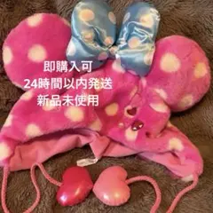 ディズニー　ミニー　パルパルーザミニー@ファンダーランド　ミニファン