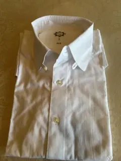 Item thumbnail for item b51b718f-84fd-4d33-9433-c4671e581ed4