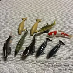 魚フィギュア いっぱい