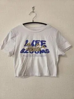 DAZY デイジー クロップド グラフィック Tシャツ ホワイト Sサイズ 美品