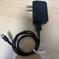 CASIO AD-C54UJ 充電アダプタとケーブル