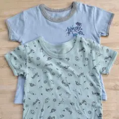 キッズ肌着 半袖シャツ 110cm 恐竜 トリケラトプス デザイン2枚セット