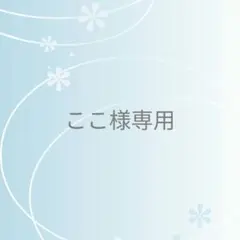 ここ様 リクエスト 2点 まとめ商品
