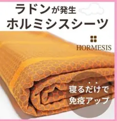 グラントイーワンズ ホルミシスシーツ 2025年最新】グラントイーワンズ ホルミシスの人気アイテム