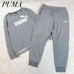 puma ジャージ セットアップ スウェット グレー Lサイズ