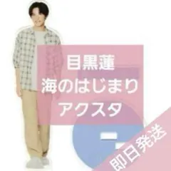 海のはじまり 目黒蓮 アクリルスタンド アクスタ Snow Man スノーマン