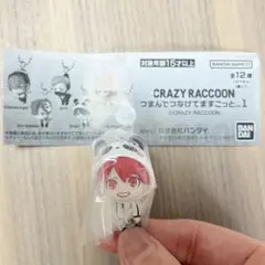 CRAZY RACCOON つまんでつなげてますこっと rion めじるし