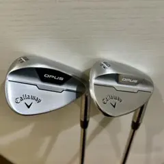 Item thumbnail for item 7439c73e-e6f4-4a2d-8a64-4ceac037d846