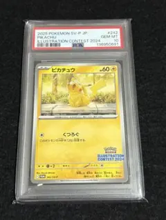 2026年最新】ピカチュウ psa10 スカーレットの人気アイテム - メルカリ