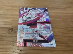 神避パラレル　ワンピースカード