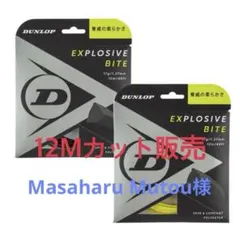 Masaharu Mutou様専用　バイト1.27イエロー2張