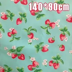 イチゴ柄 防水 シーチング キャスキッドソン 生地 布地 ハンドメイド 混紡